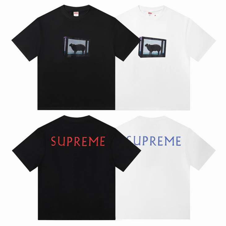 Picture of Supreme T Shirts Short _SKUSupremeS-XLamtrE20411196